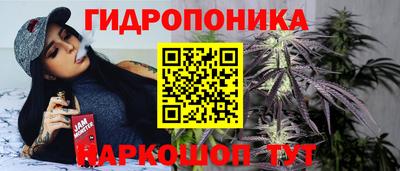 PSILOCYBIN Кулебаки